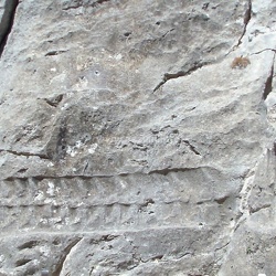 Çorum-Ağustos-2013