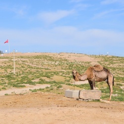 Harran-2018